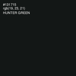 #131715 - Hunter Green Color Image